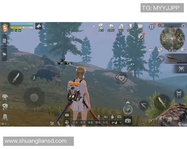 陈芳深度解析王者荣耀游戏策略与技巧分享,助你快速提升战斗水平 陈芳深度解析王者荣耀游戏策略与技巧分享,助你快速提升战斗水平