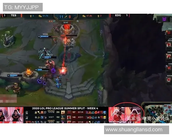 和平精英焦点EDG团队协作与战术配合深入分析与探讨实时数据