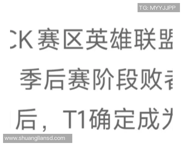 英雄联盟评论JDG战队在赛季转换中的得失分析与未来展望实时新闻